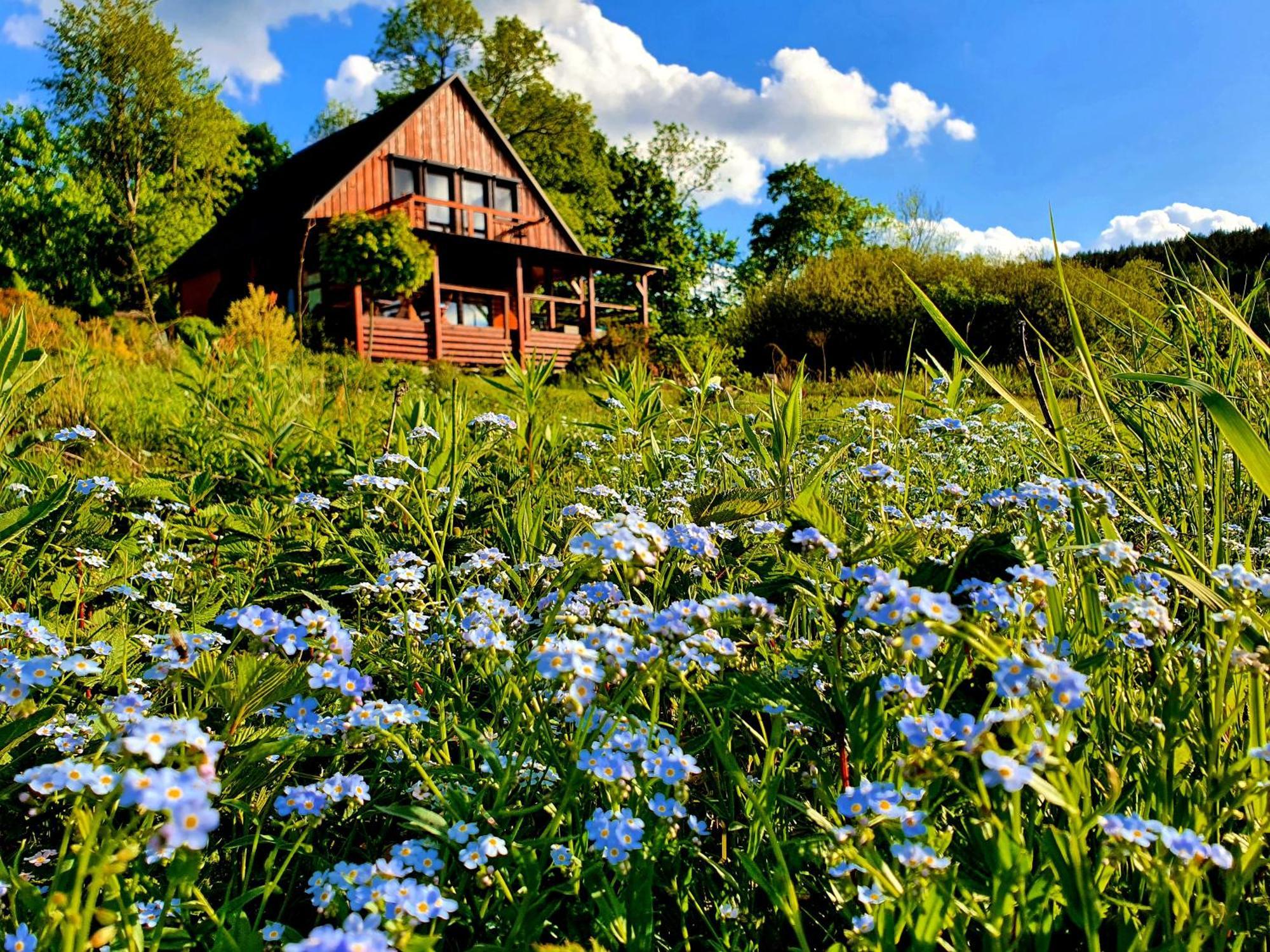 Piaskowy Kon - Mountain Lodge & Spa- Karkonosze Mniszkow  المظهر الخارجي الصورة